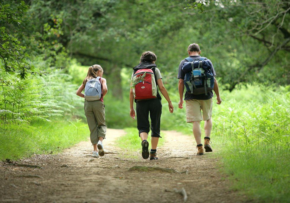 Trekking